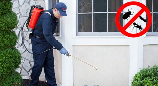 Çayırlı Akrep İlaçlama böcek ilaçlama ve haşere kontrolü — ilaclama-tr.com